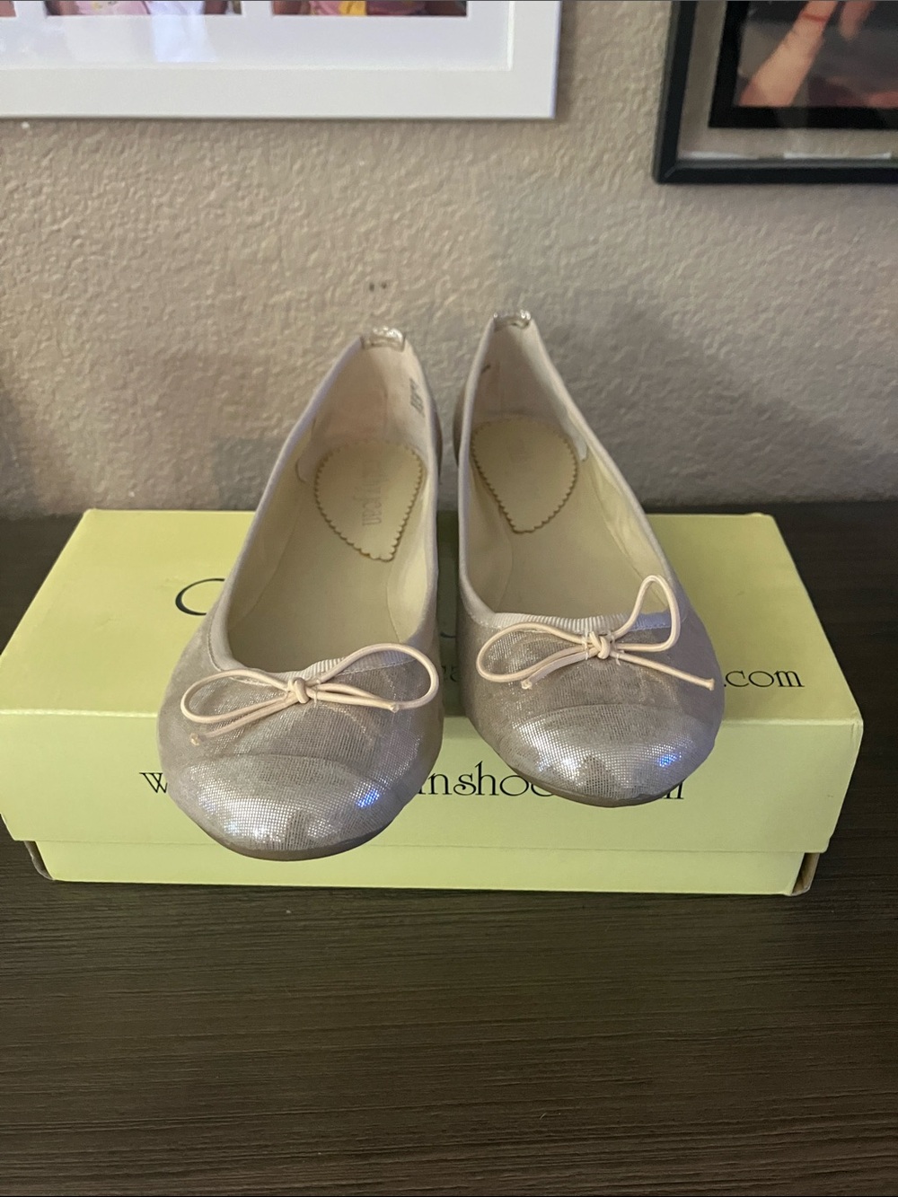 Cathy Jean Metallic Light Beige with a hint of gold Ballet Flats with Bow
